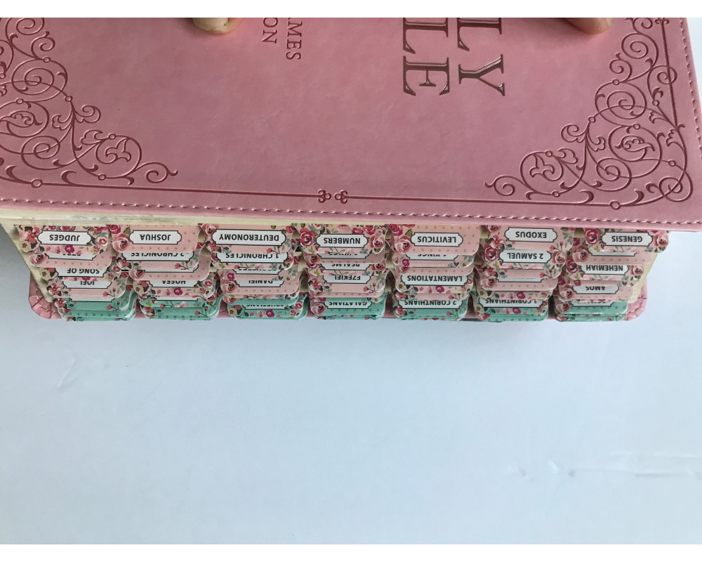 Personalized and tabs Pink KJV Giant Print Bible | LeatherSoft Cover
