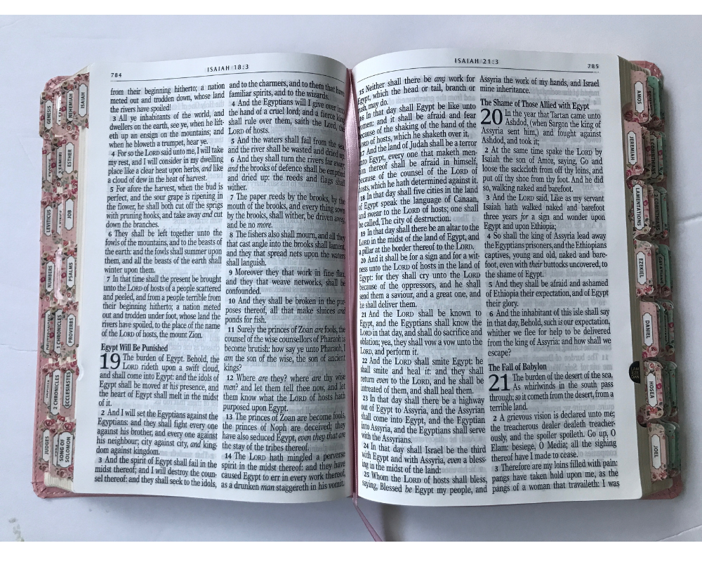 Personalized and tabs Pink KJV Giant Print Bible | LeatherSoft Cover