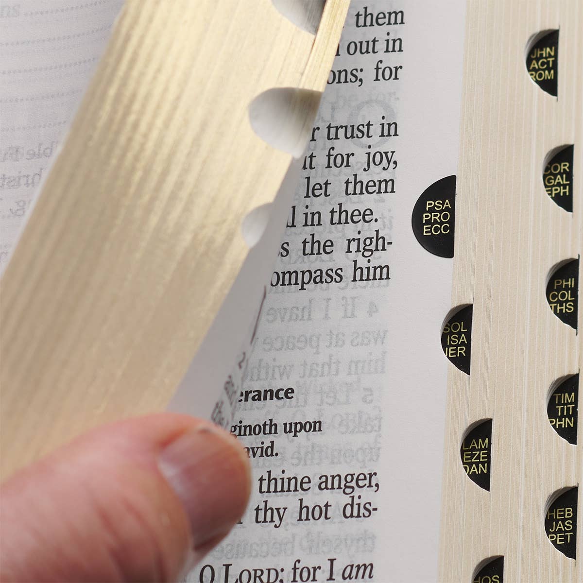 Personalized KJV Giant Print Bible – Pink Faux Leather, 14-Point Text, Free “He Restores My Soul” Journal, Debossed Bible
