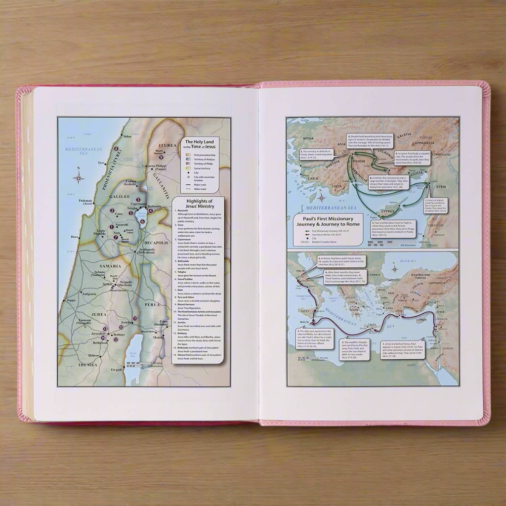 Personalized KJV Giant Print Bible – Pink Faux Leather, 14-Point Text, Free “He Restores My Soul” Journal, Debossed Bible