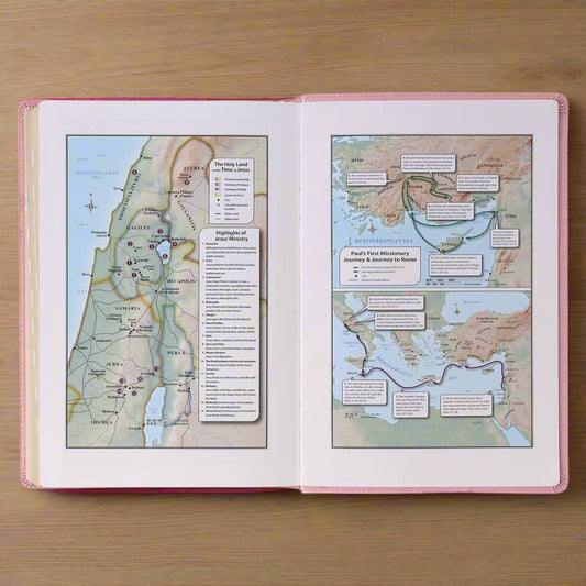 Personalized and tabs Pink KJV Giant Print Bible | LeatherSoft Cover