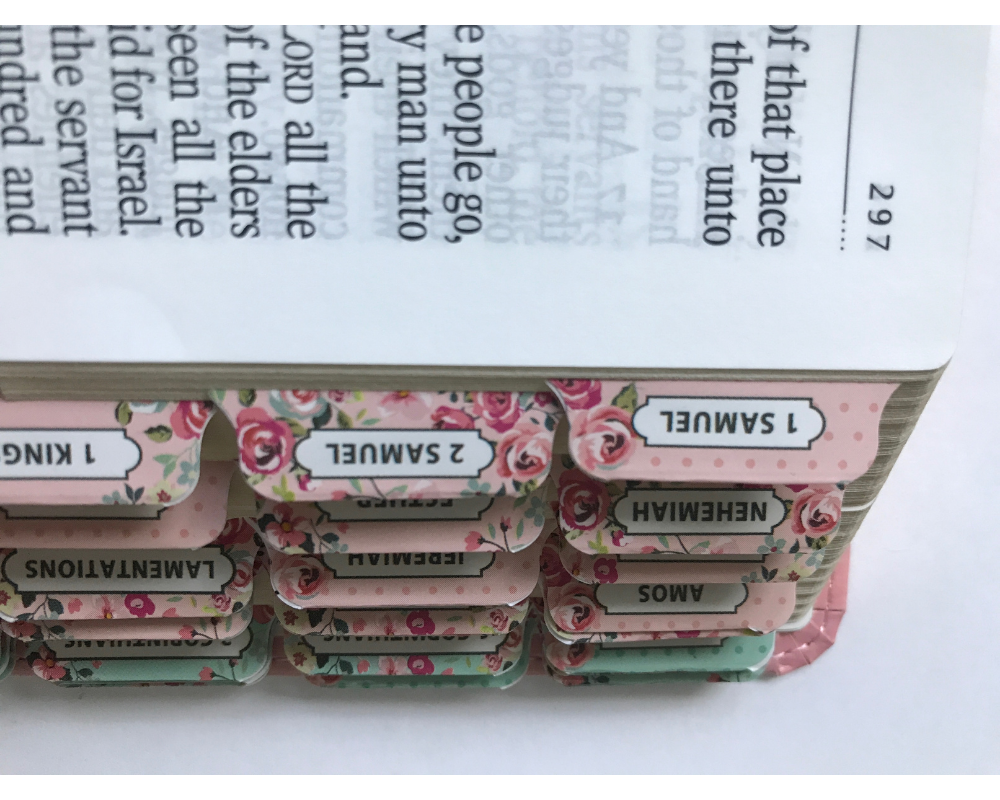 Personalized and tabs Pink KJV Giant Print Bible | LeatherSoft Cover