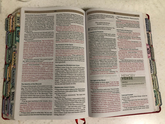 Red Flower Cork LeatherTouch Teen Study Bible (CSB)