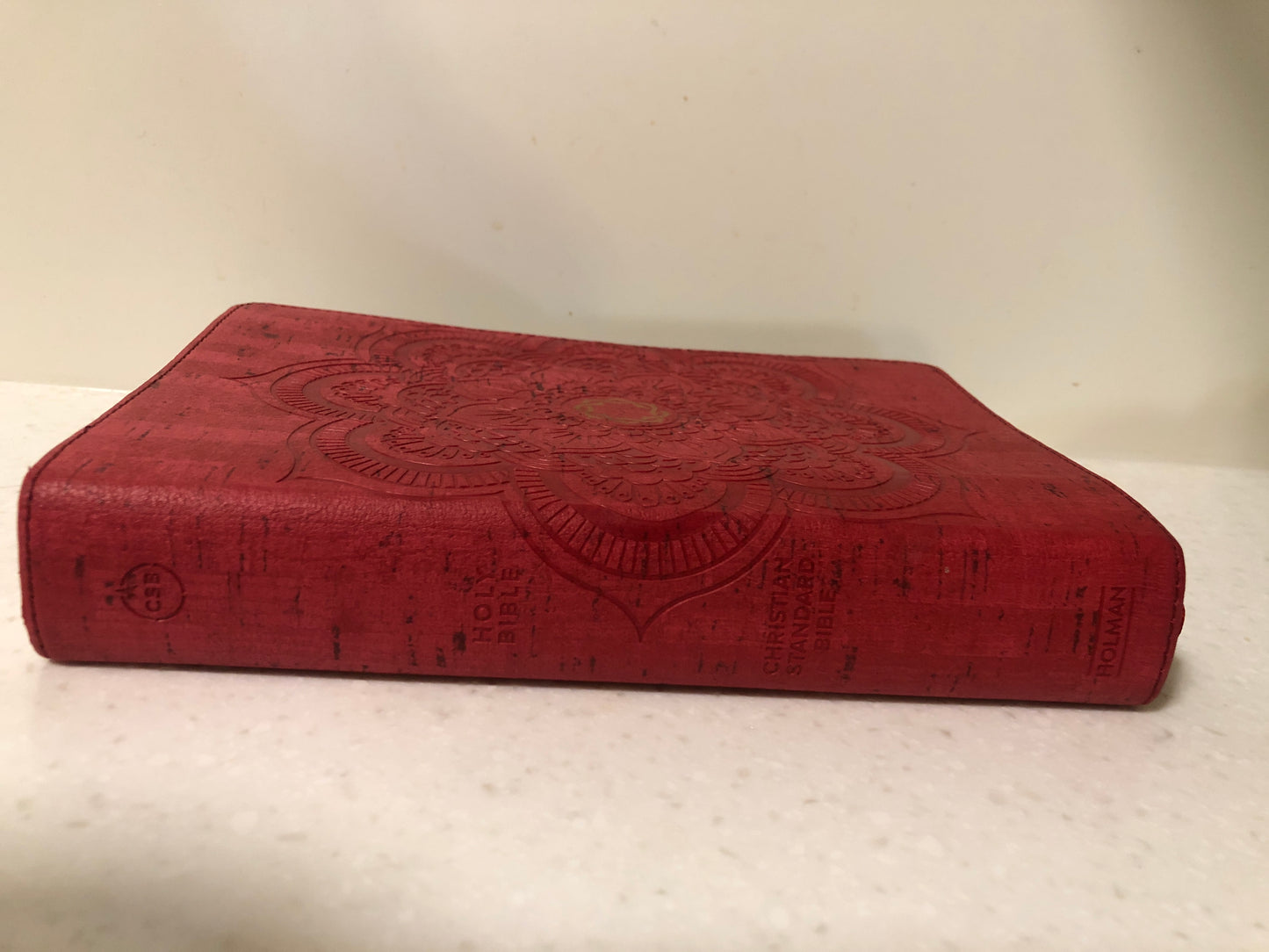 Red Flower Cork LeatherTouch Teen Study Bible (CSB)
