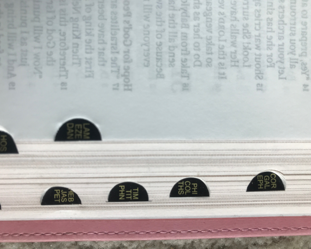Personalized KJV Giant Print Bible – Pink Faux Leather, 14-Point Text, Free “More Precious than Rubies” Journal, Debossed Bible